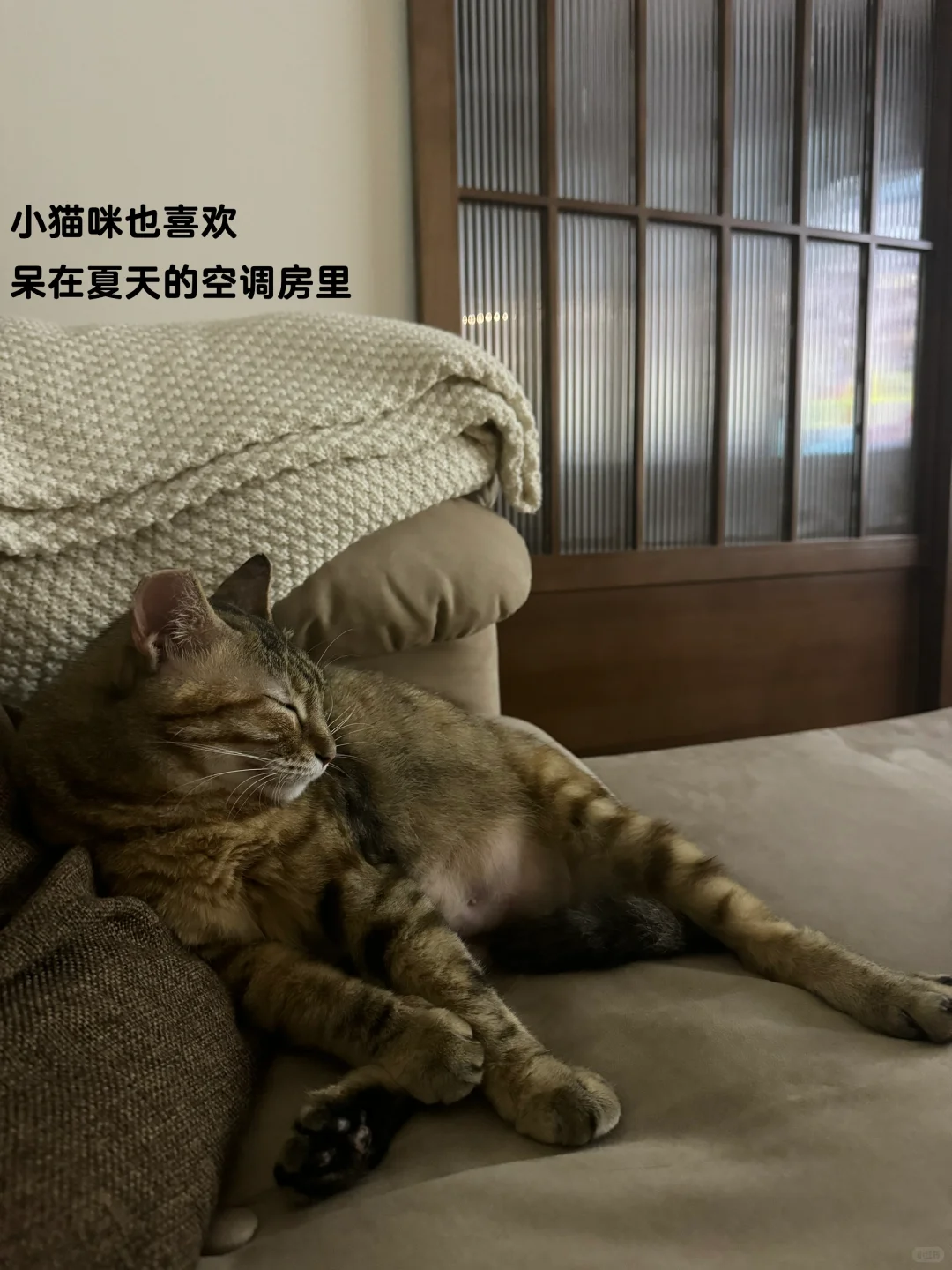 我用原木风玻璃移门当隔断，保暖又有私密感！