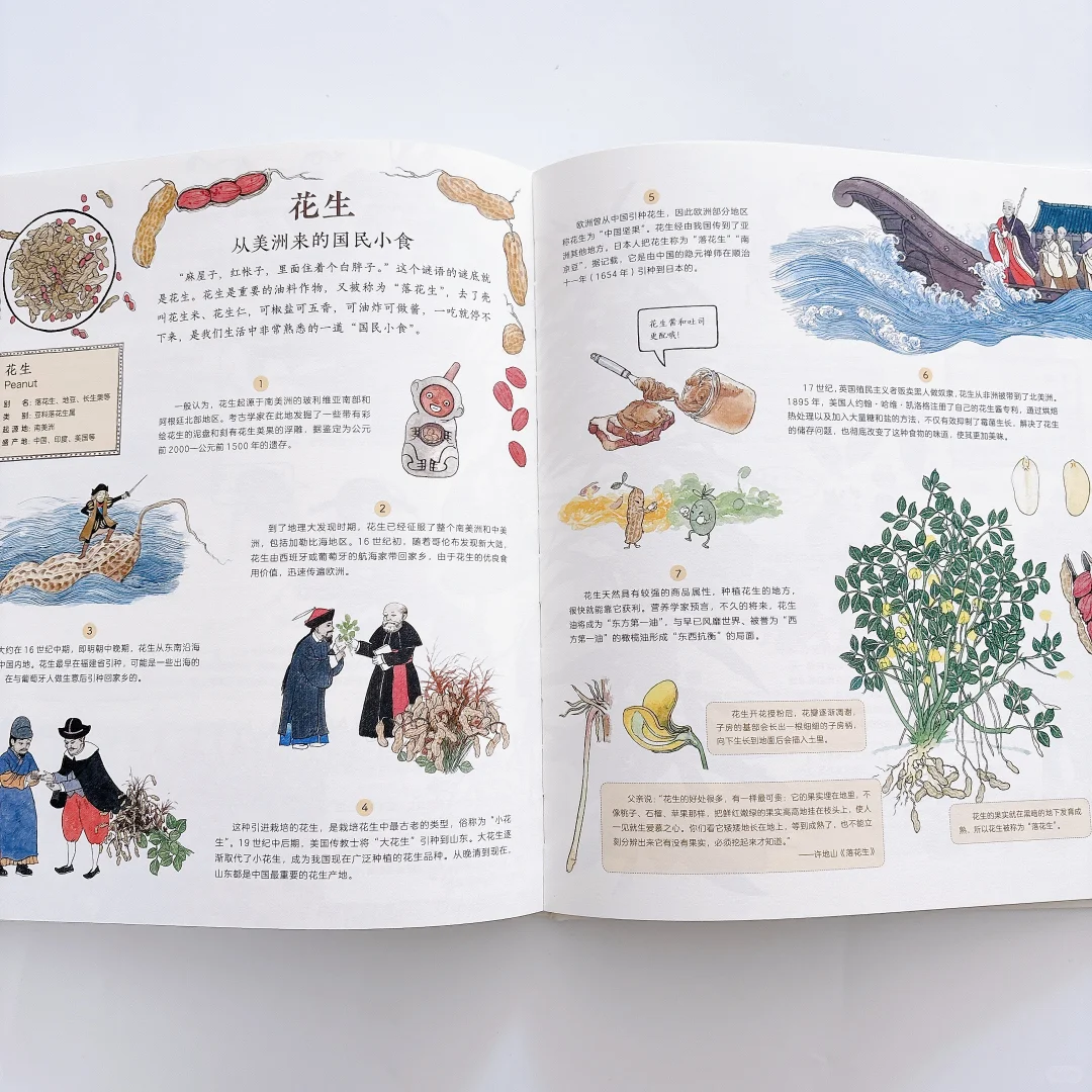 太好看了‼️每天和女儿抢着看这本科普书