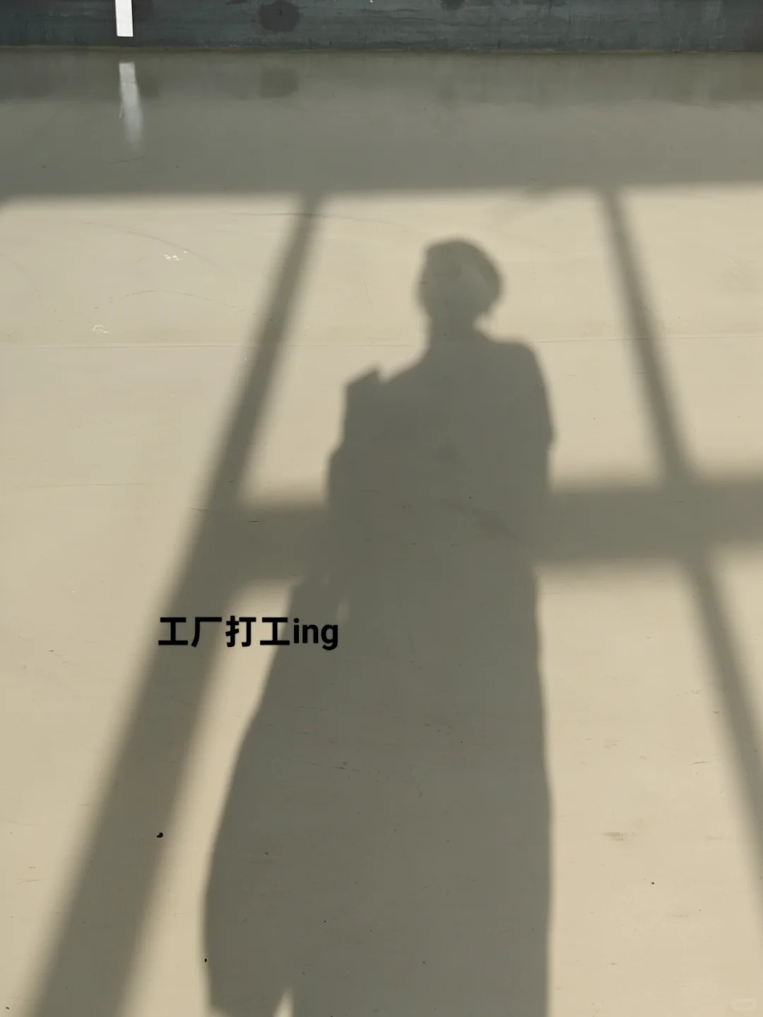 一个热度很高的提问