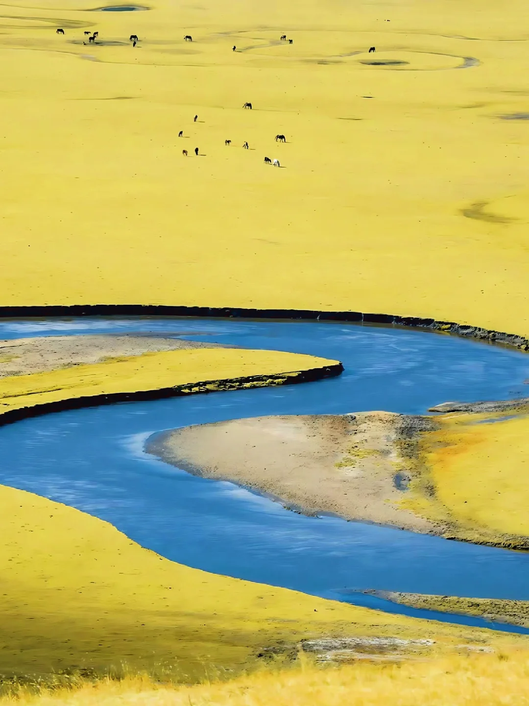 ABS三星经管方向搭作者