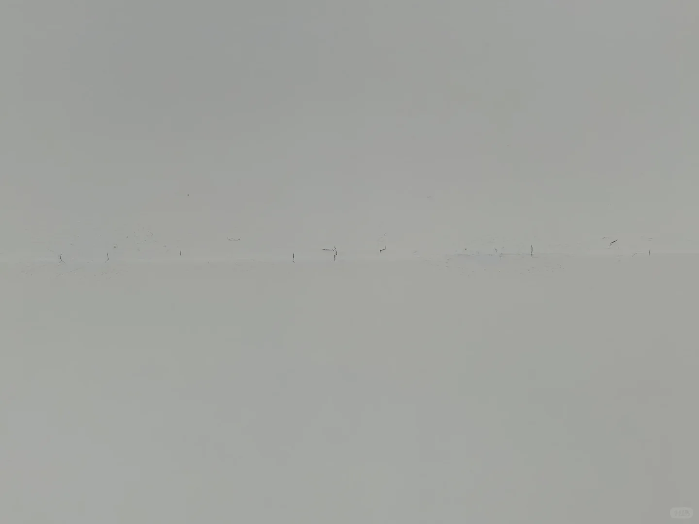 网上说乳胶漆不兑水有质感，但不会告诉你..