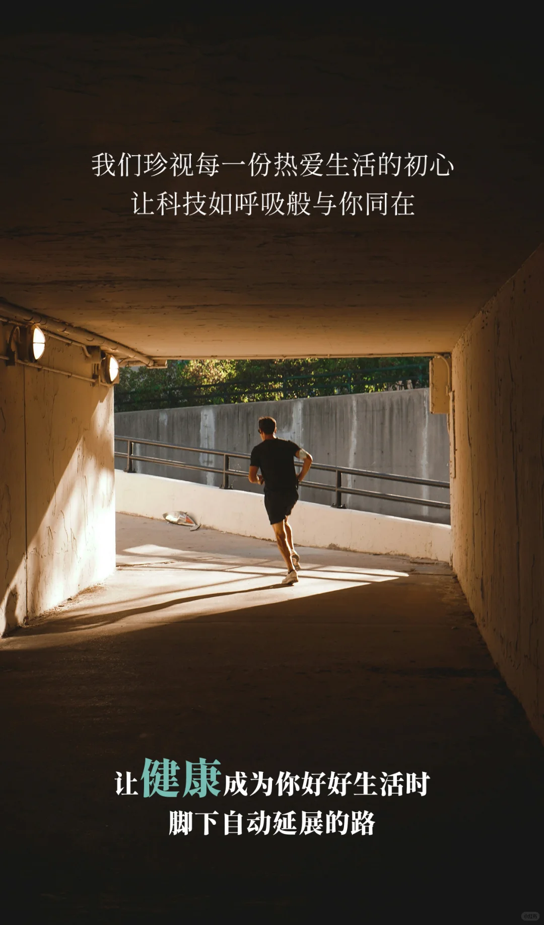 Hi,这里是飞兔!用科技守护每一次心跳!