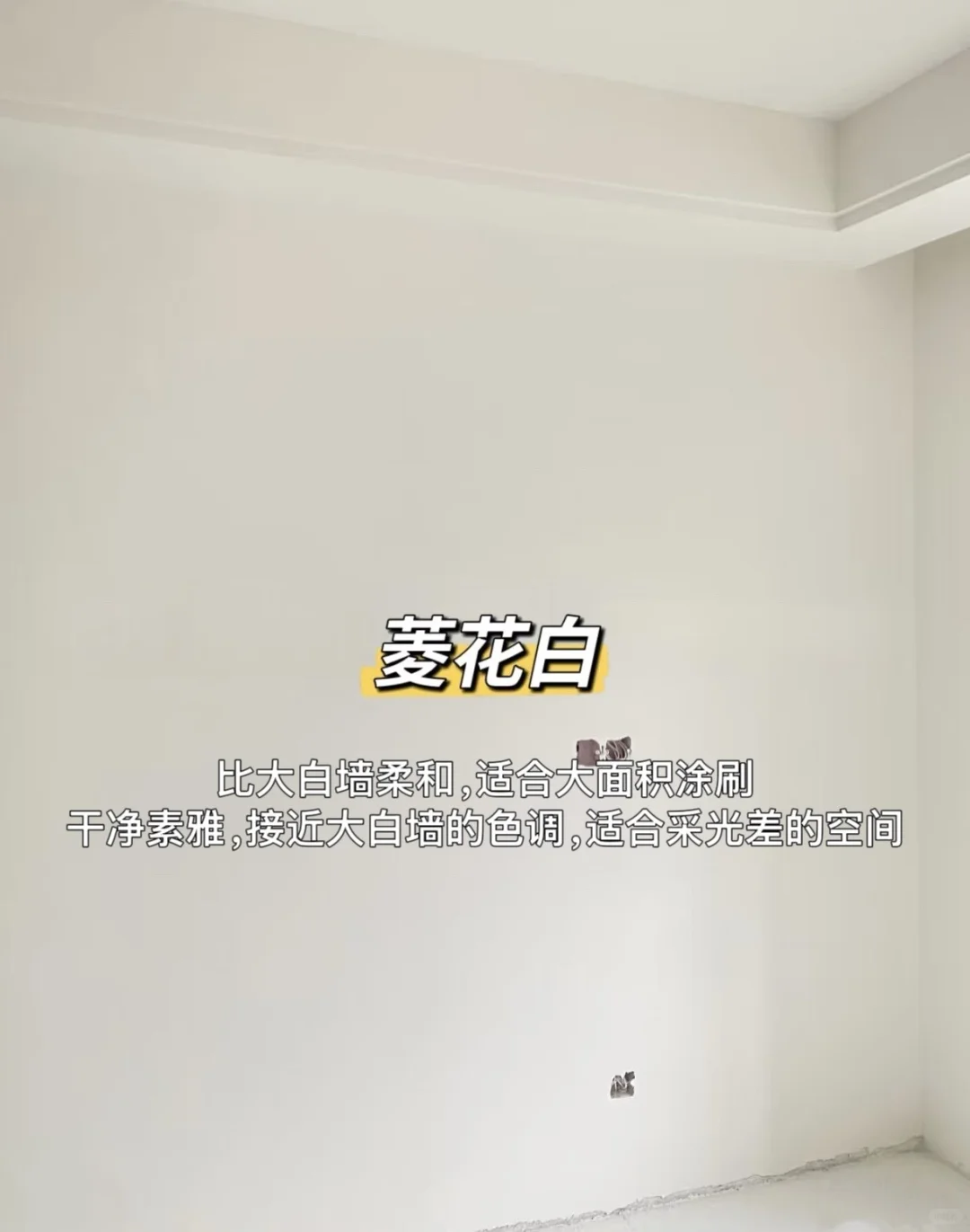 乳胶漆颜色怎么选❓小白装修必看！