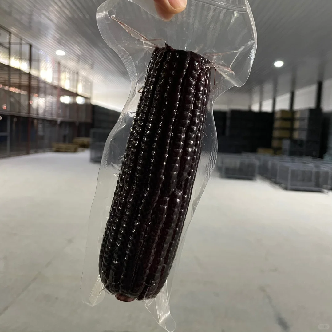 东北糯玉米工厂，可一件代发