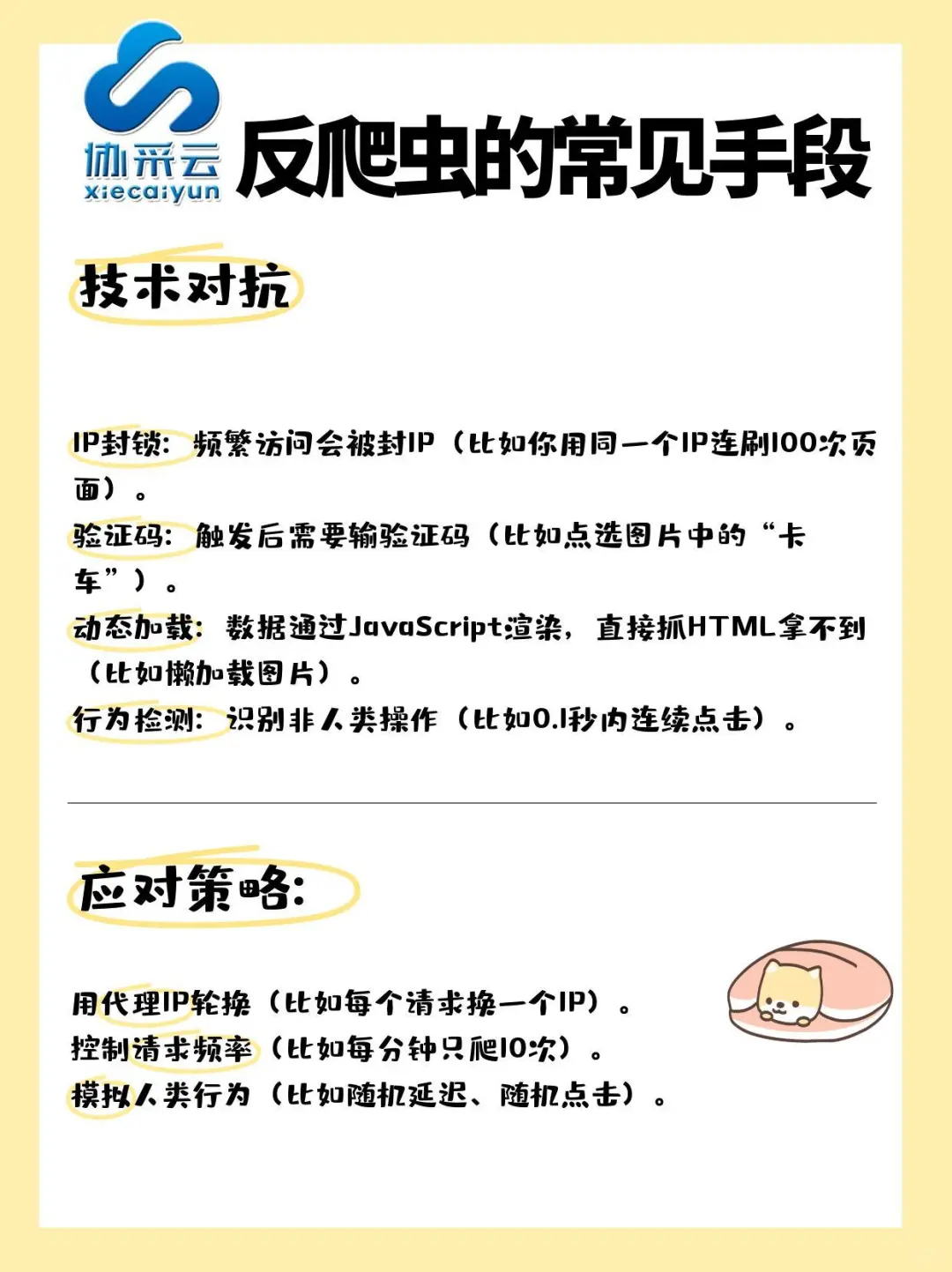 反爬虫的常见手段有什么？