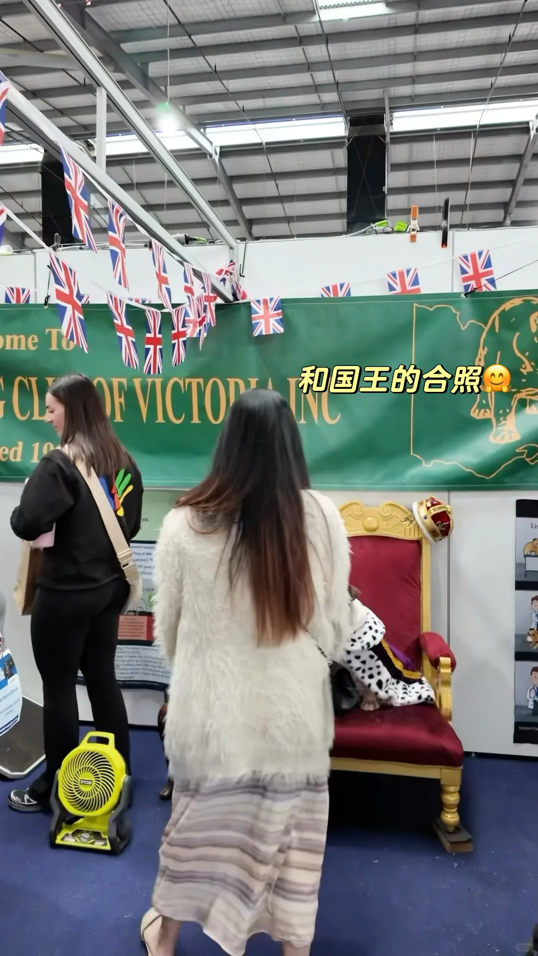 ??38周小孕妇勇闯狗展的一天plog