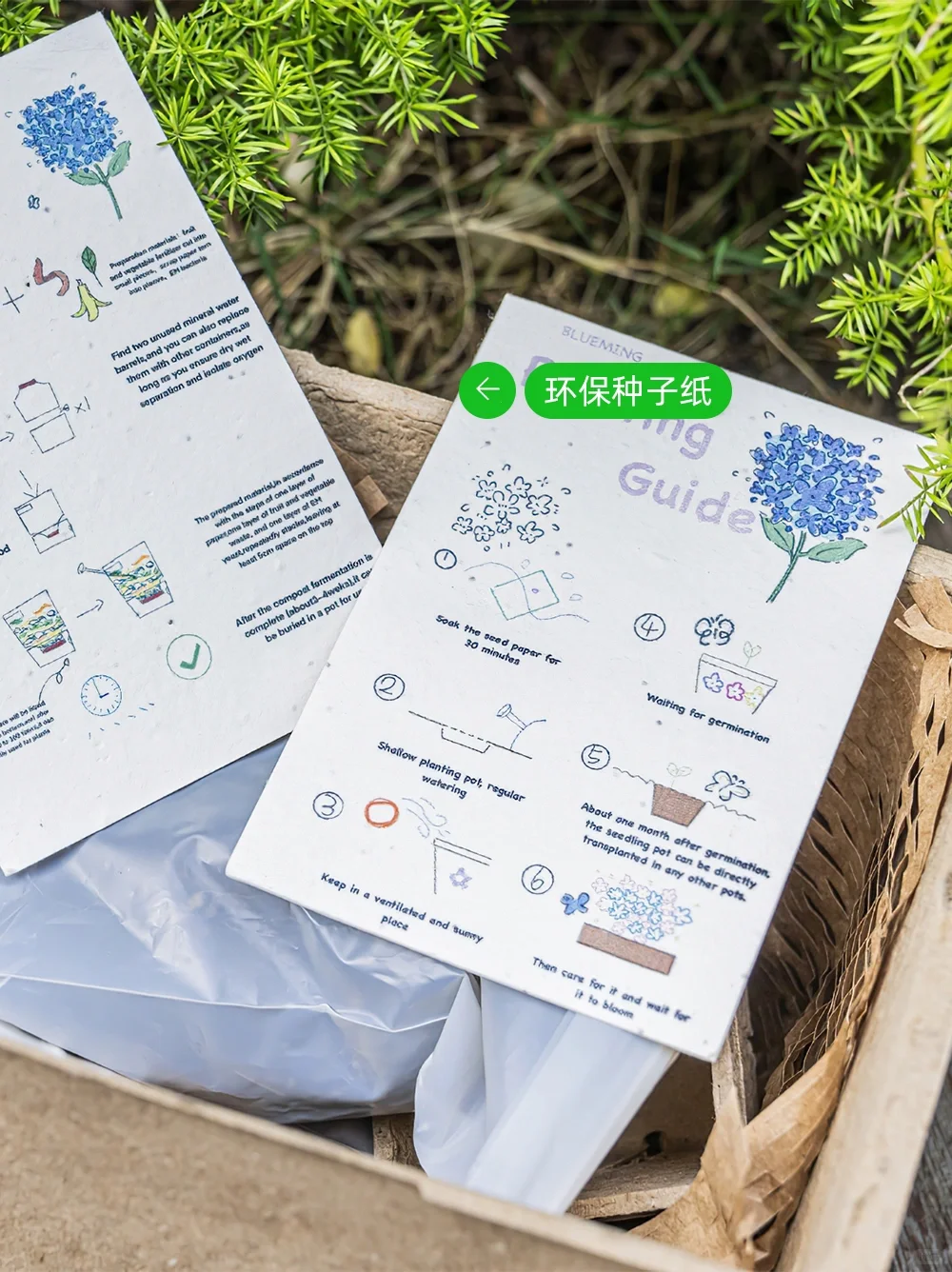 世界环境日♻从绿色行动到环保好物