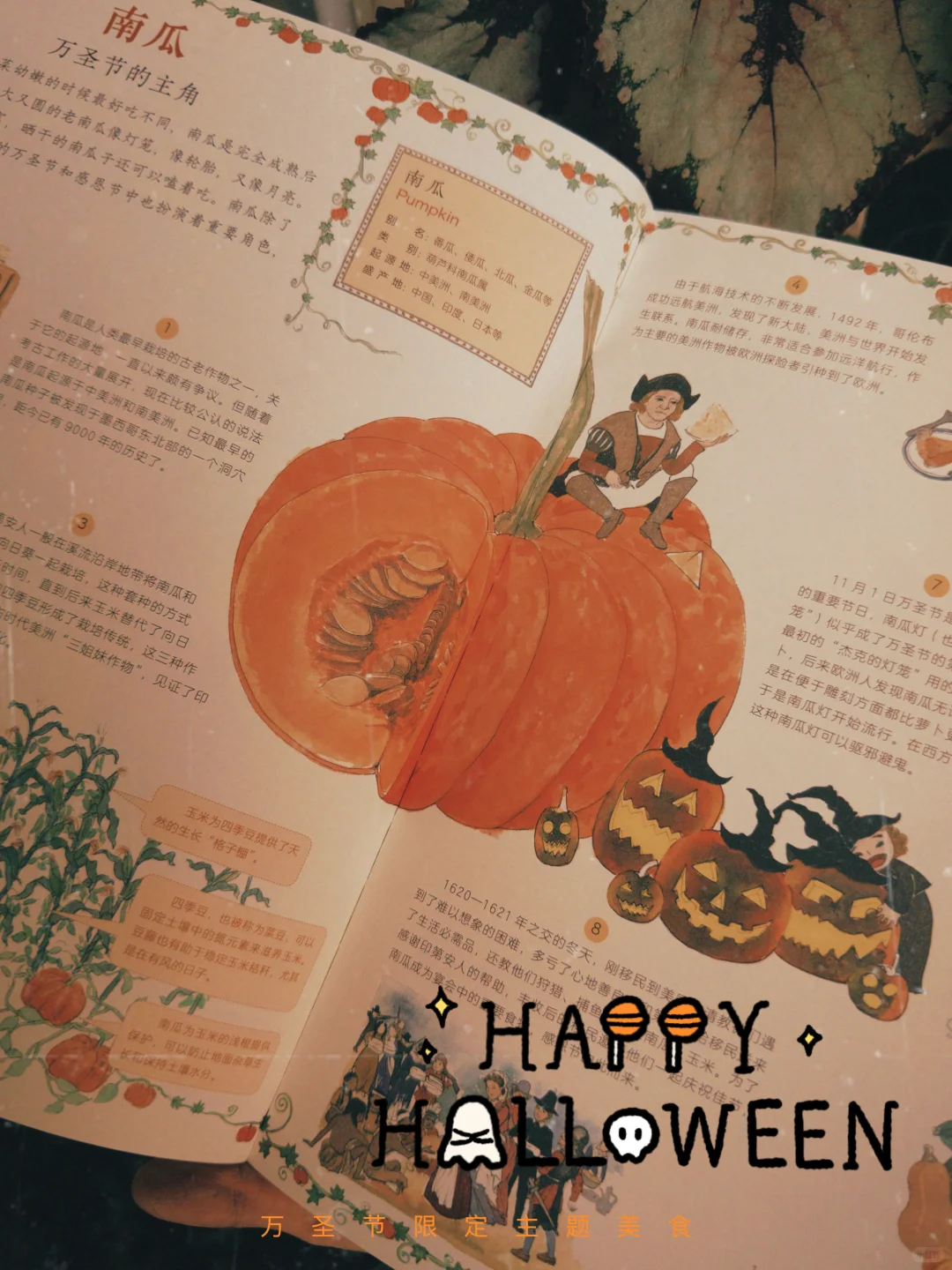 南瓜在万圣节这一天，是妥妥的c位啊