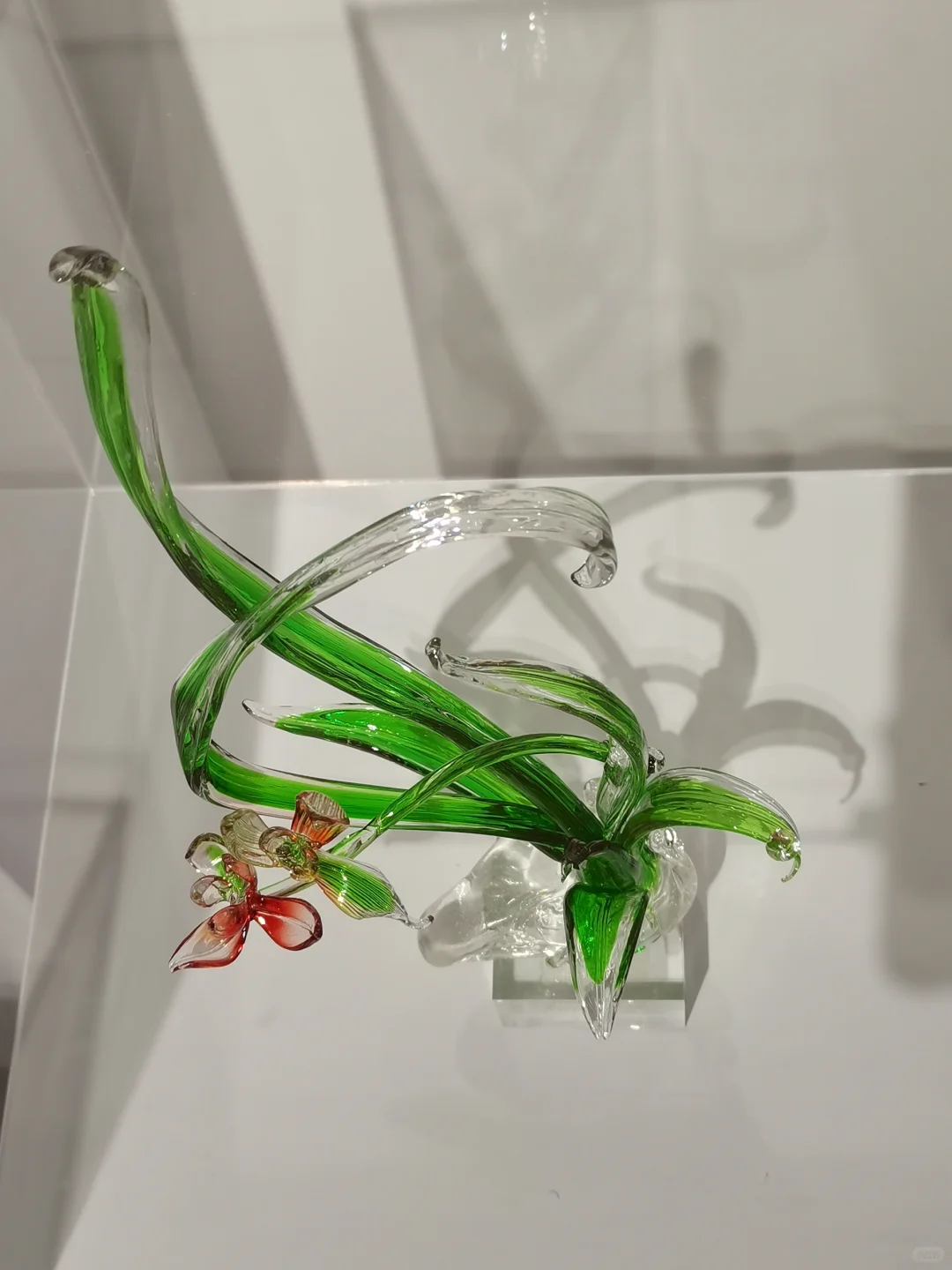 青岛0元新展/溯.明澈糖艺展