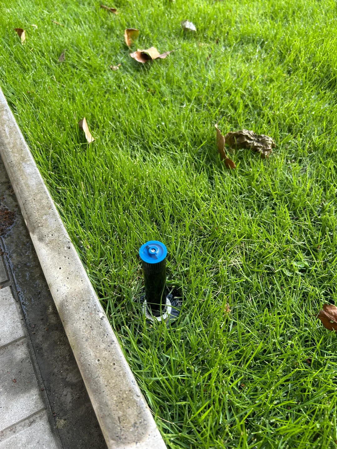 草坪的灌溉系统踩坑