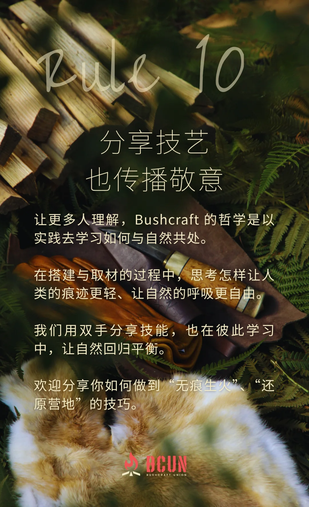 BCUN入林手册 | 10条Bushcraft环保守则