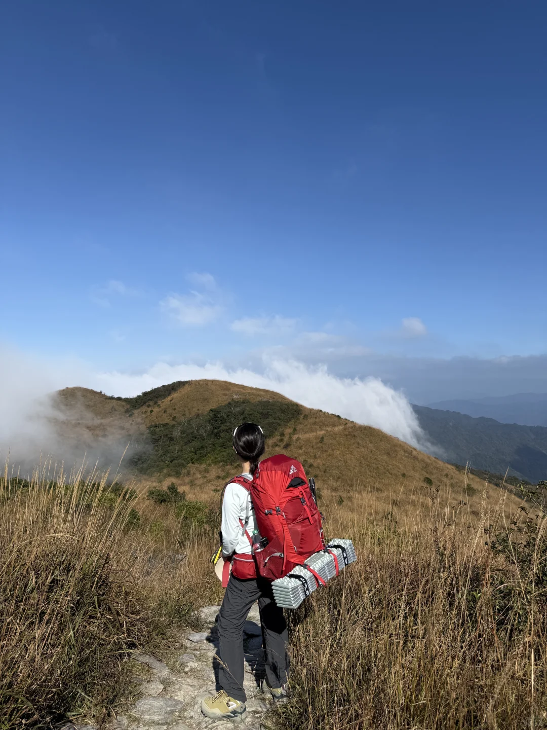 郴州八面山｜去了两次还想去的地方（附攻略）