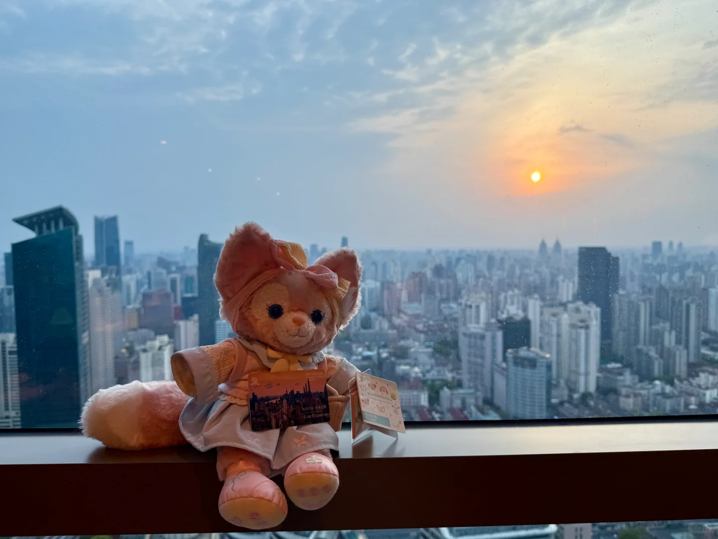 春日贝贝真的超级可爱！！每天看到心情都好好