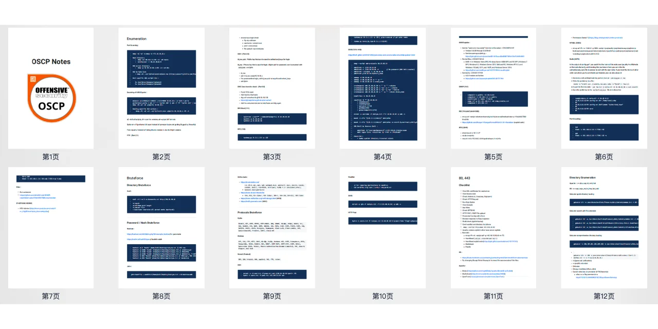 提升渗透测试技能：OSCP笔记