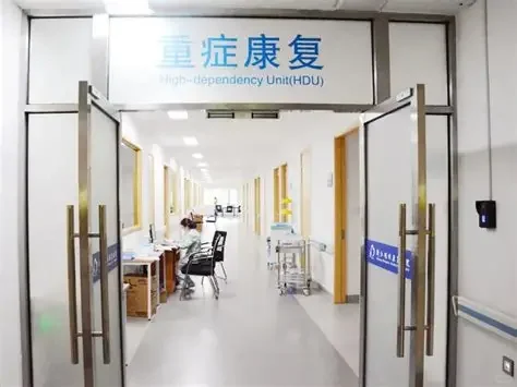 下一个发文风口重症康复