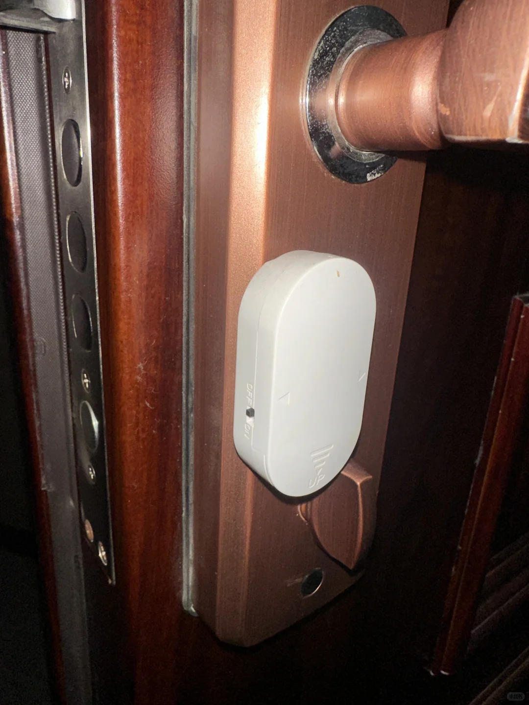 家有双狮，安全无忧!守护你的每一刻安宁