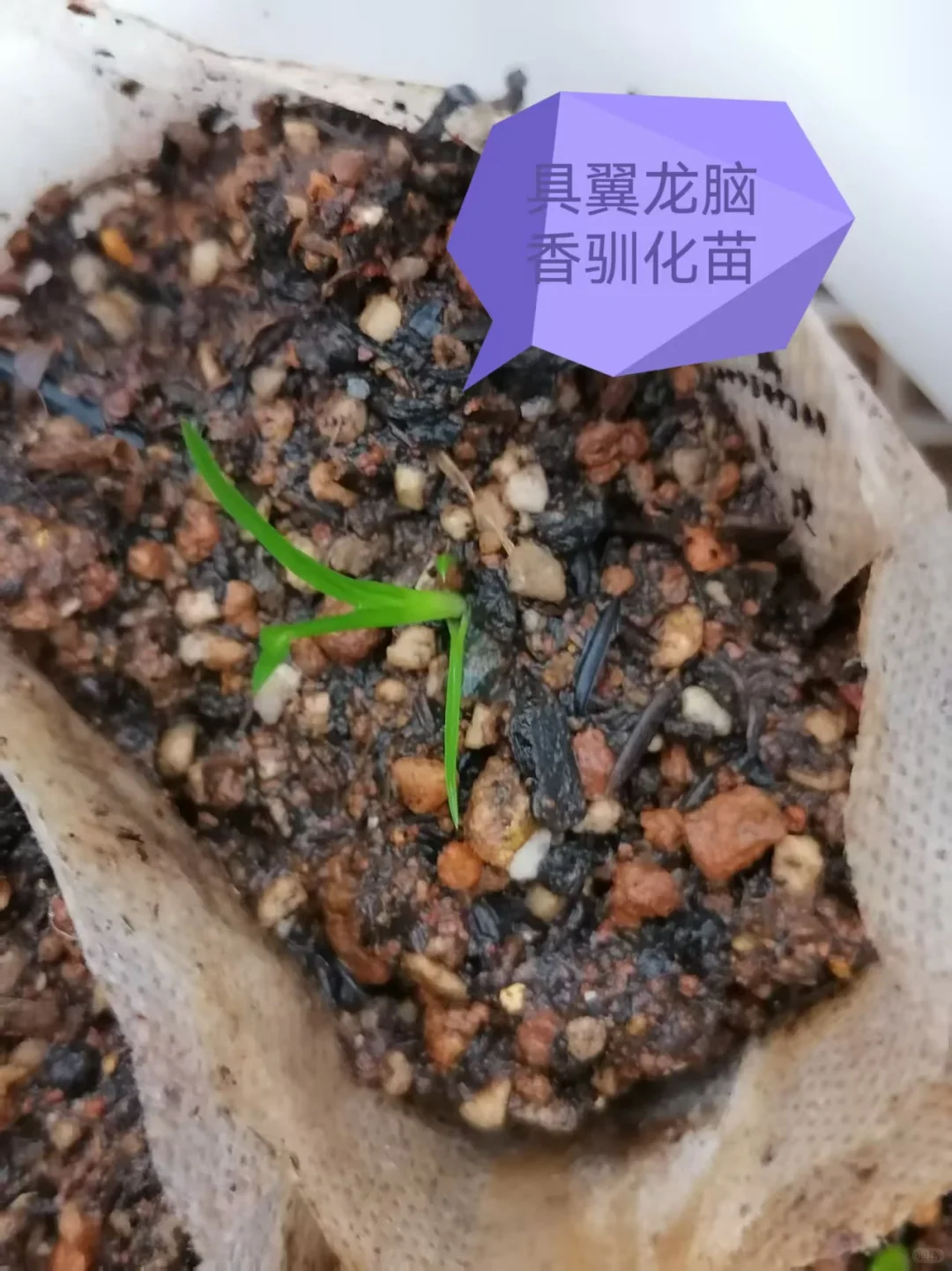 农业为什么挣钱难???