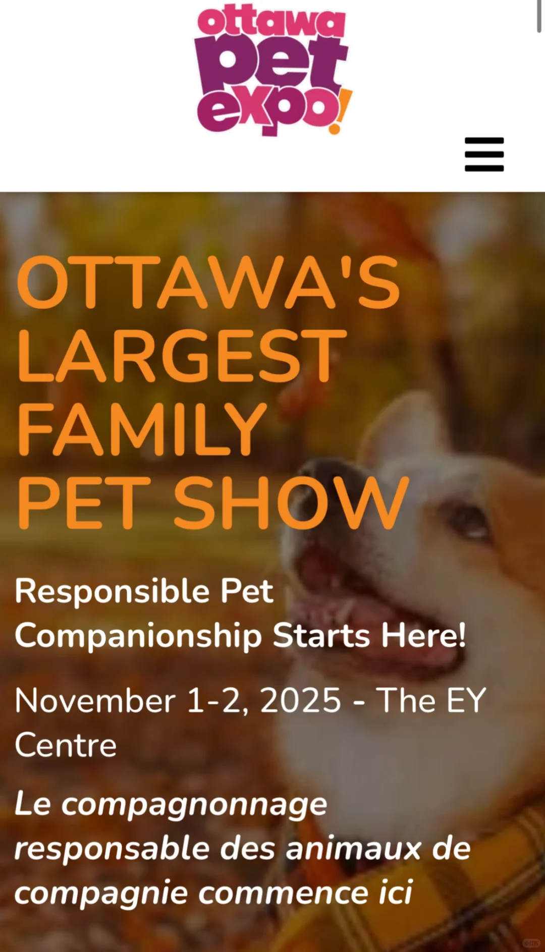 渥太华一年一度的宠物展来啦！家长们冲鸭?