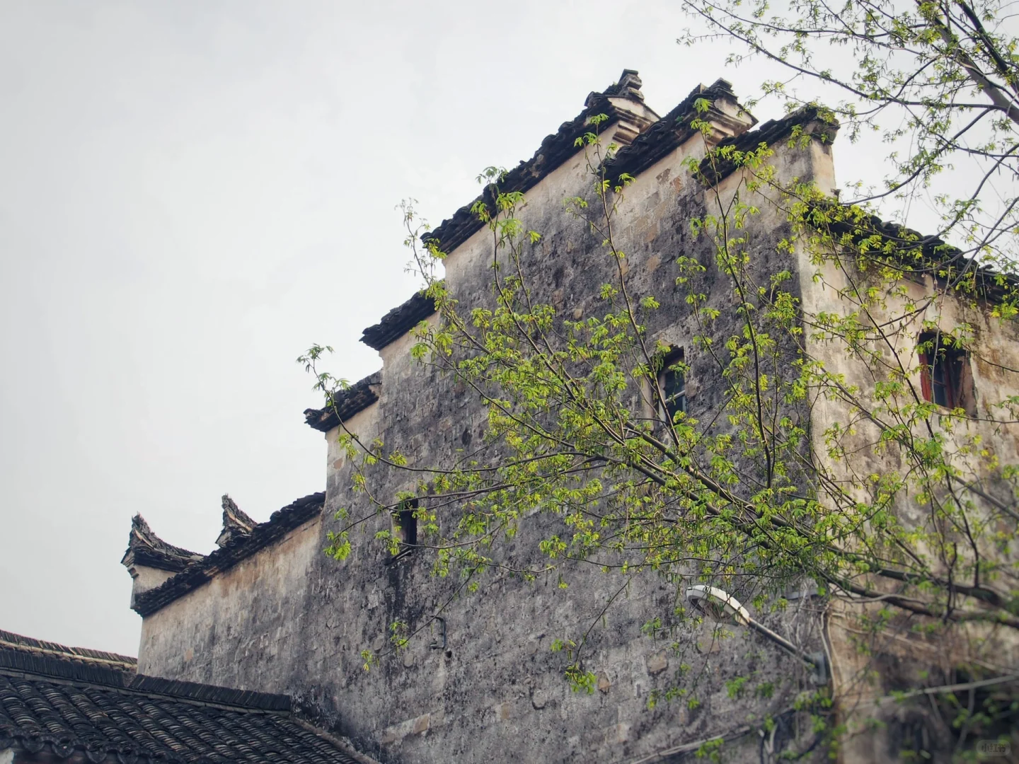 gad把吴冠中的画改造成最美回迁房:东梓关村