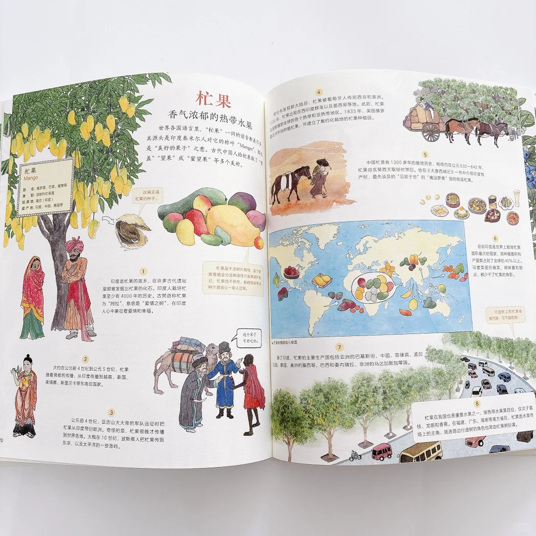 太好看了‼️每天和女儿抢着看这本科普书