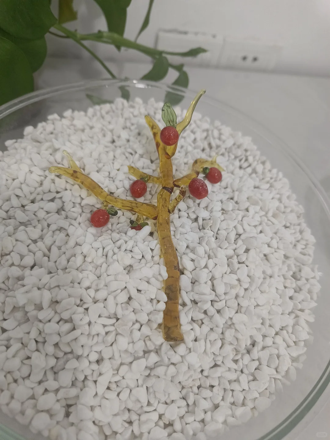 烧玻璃客作小分享、不限品不限量！