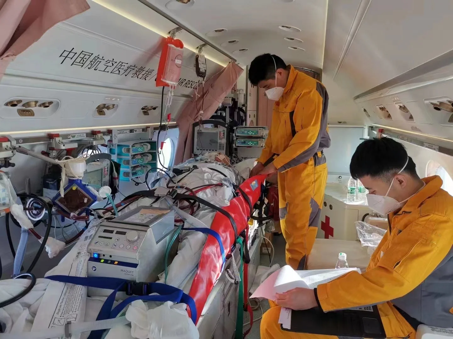 如何选择Zui适合的转运方案呢❓❓