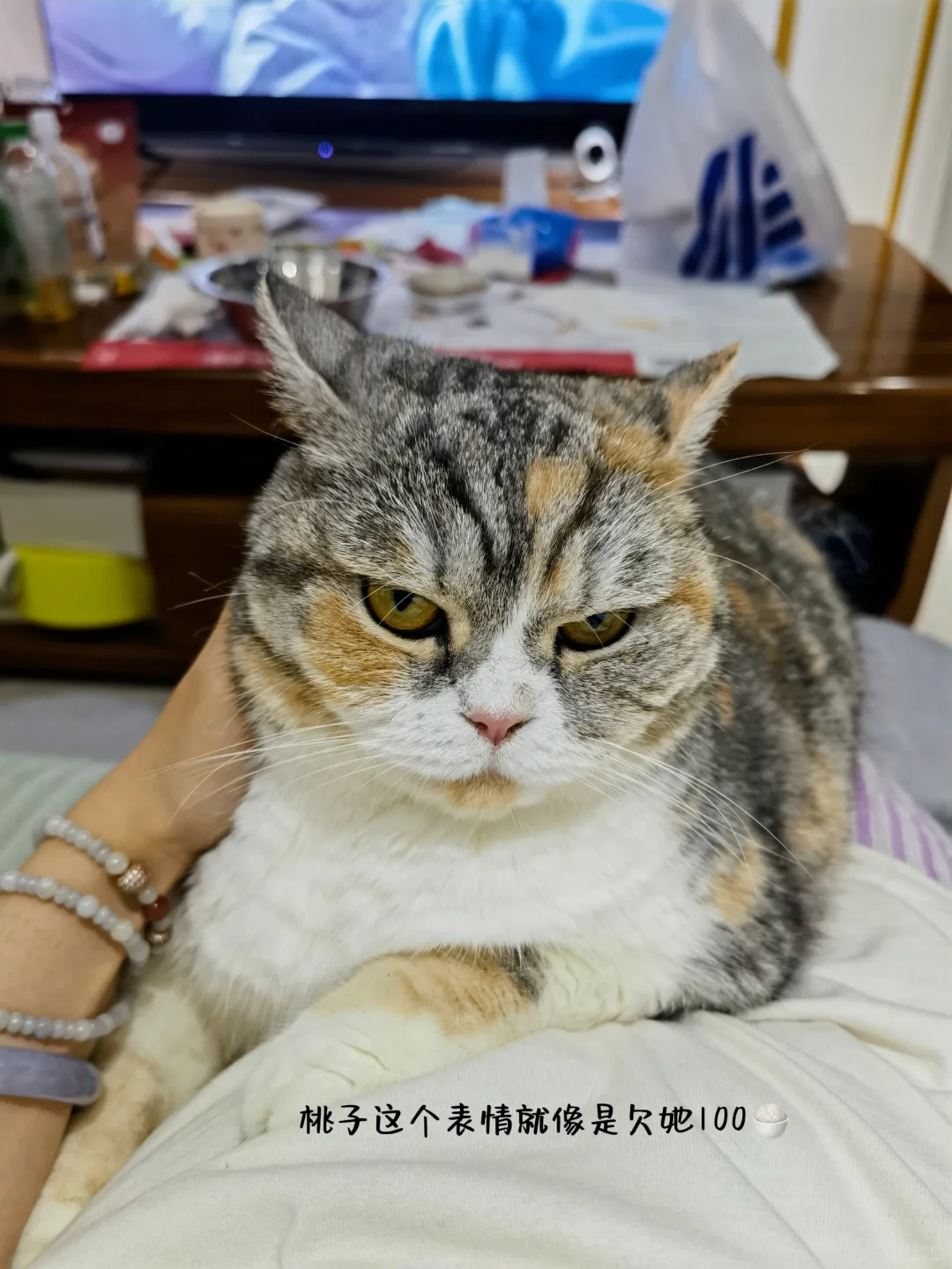 如何理解新能源场站的大脑--SCADA系统