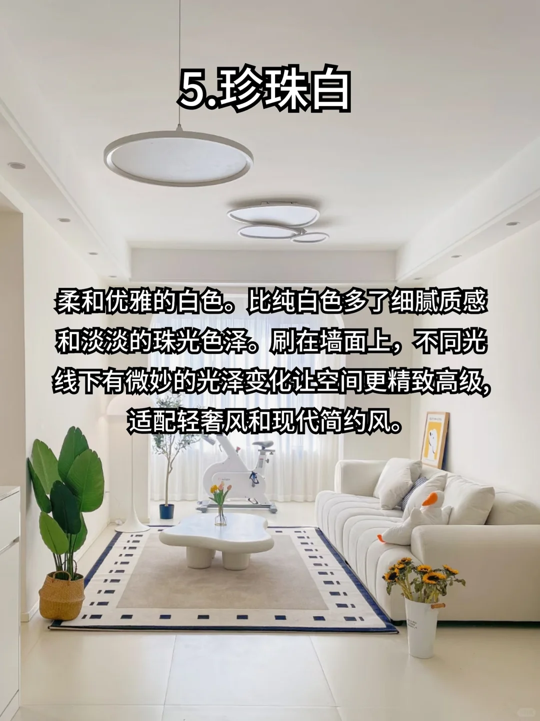 网红乳胶漆颜色怎么选，看这一篇就够了