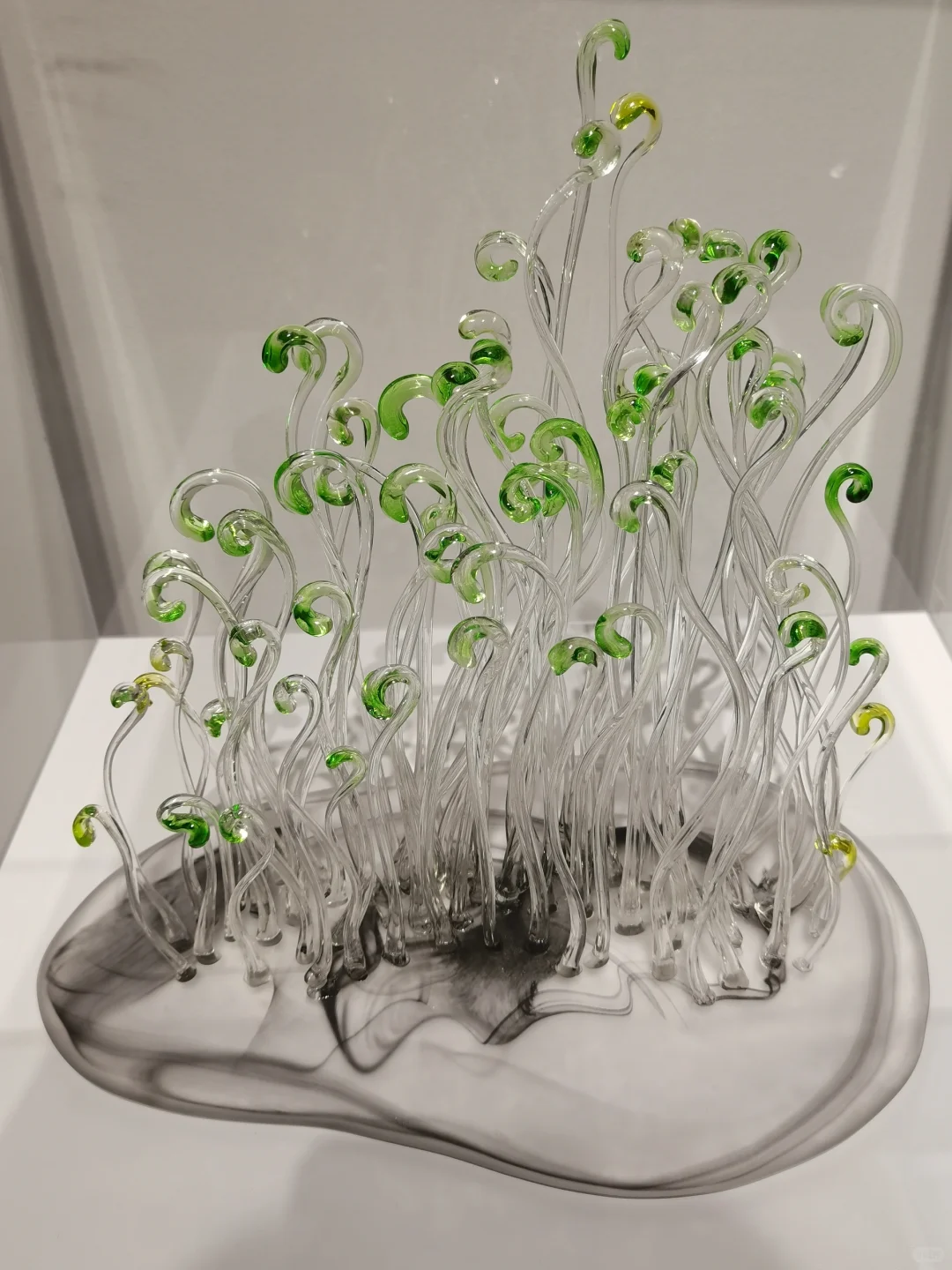 青岛0元新展/溯.明澈糖艺展