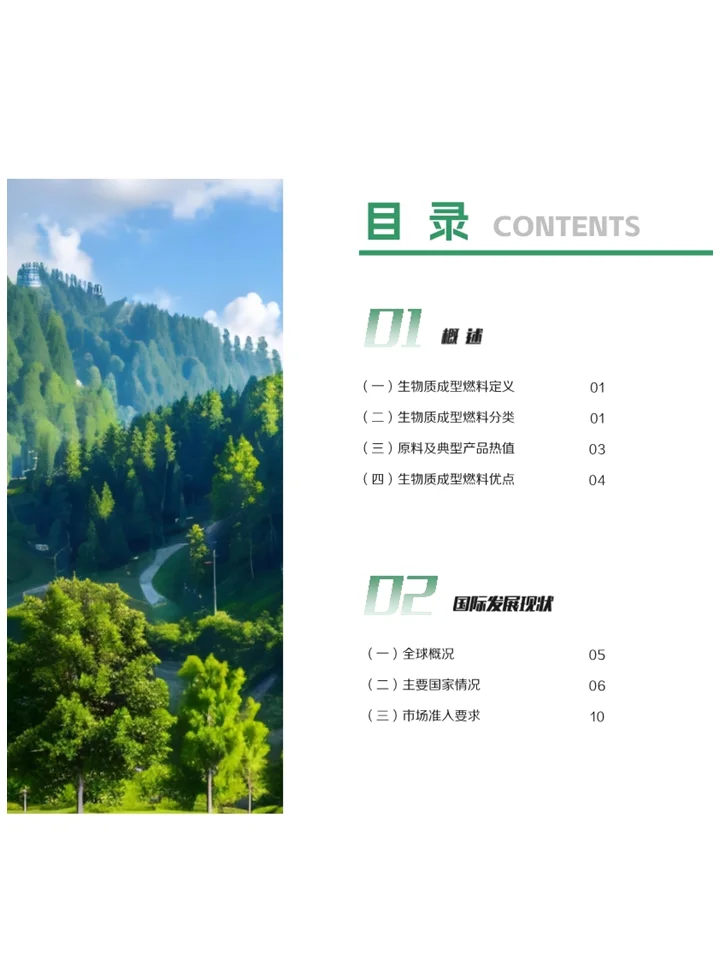 一篇报告洞察2025生物质成型燃料发展趋势