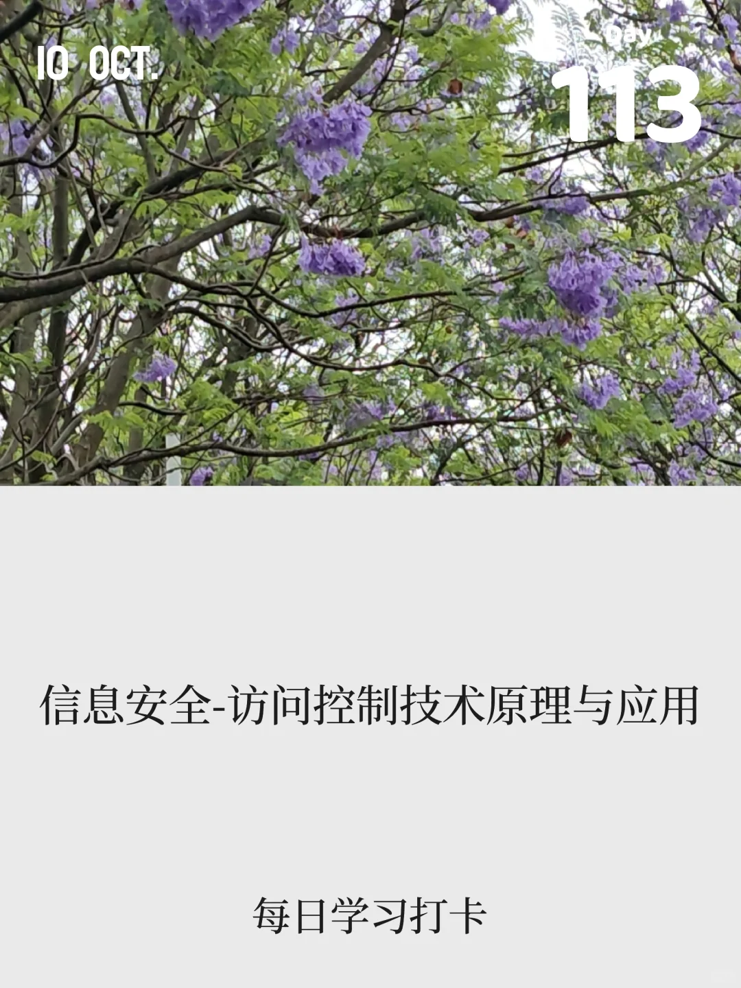 访问控制技术原理与应用 | 第 113 天