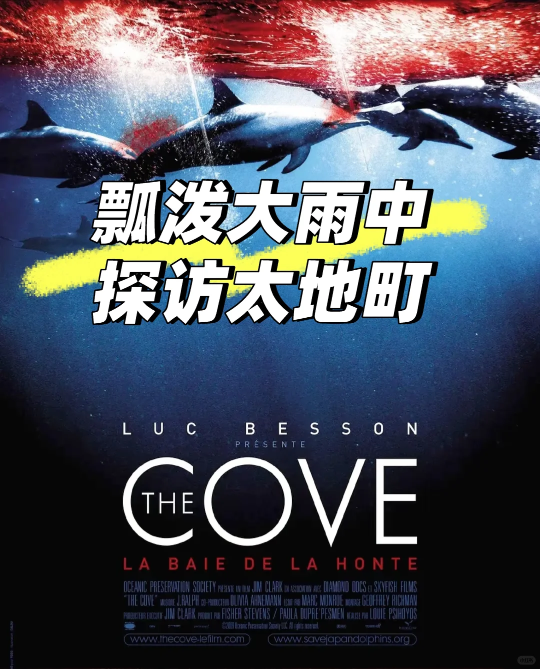 日本关西地区纪伊半岛和歌山太地町，海豚湾