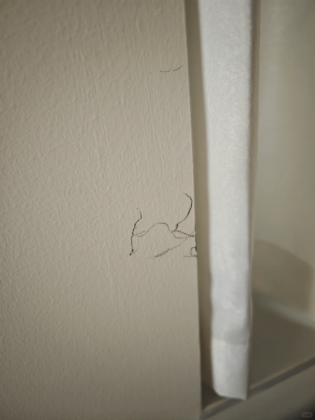 乳胶漆你才是真正的小娇妻吧！