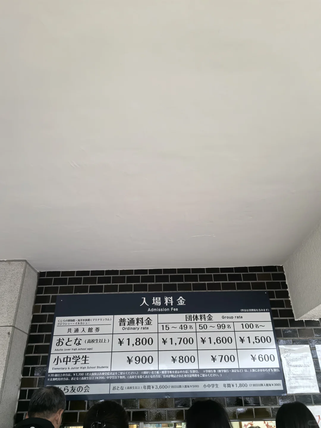 日本关西地区纪伊半岛和歌山太地町，海豚湾