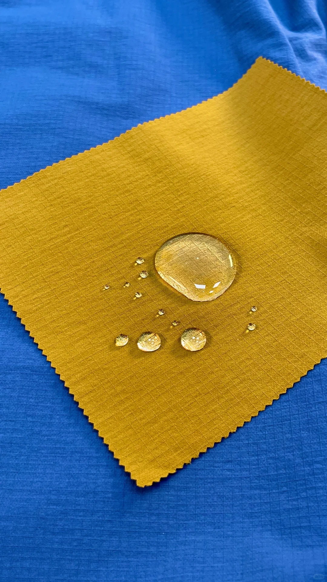 登山、户外、休闲