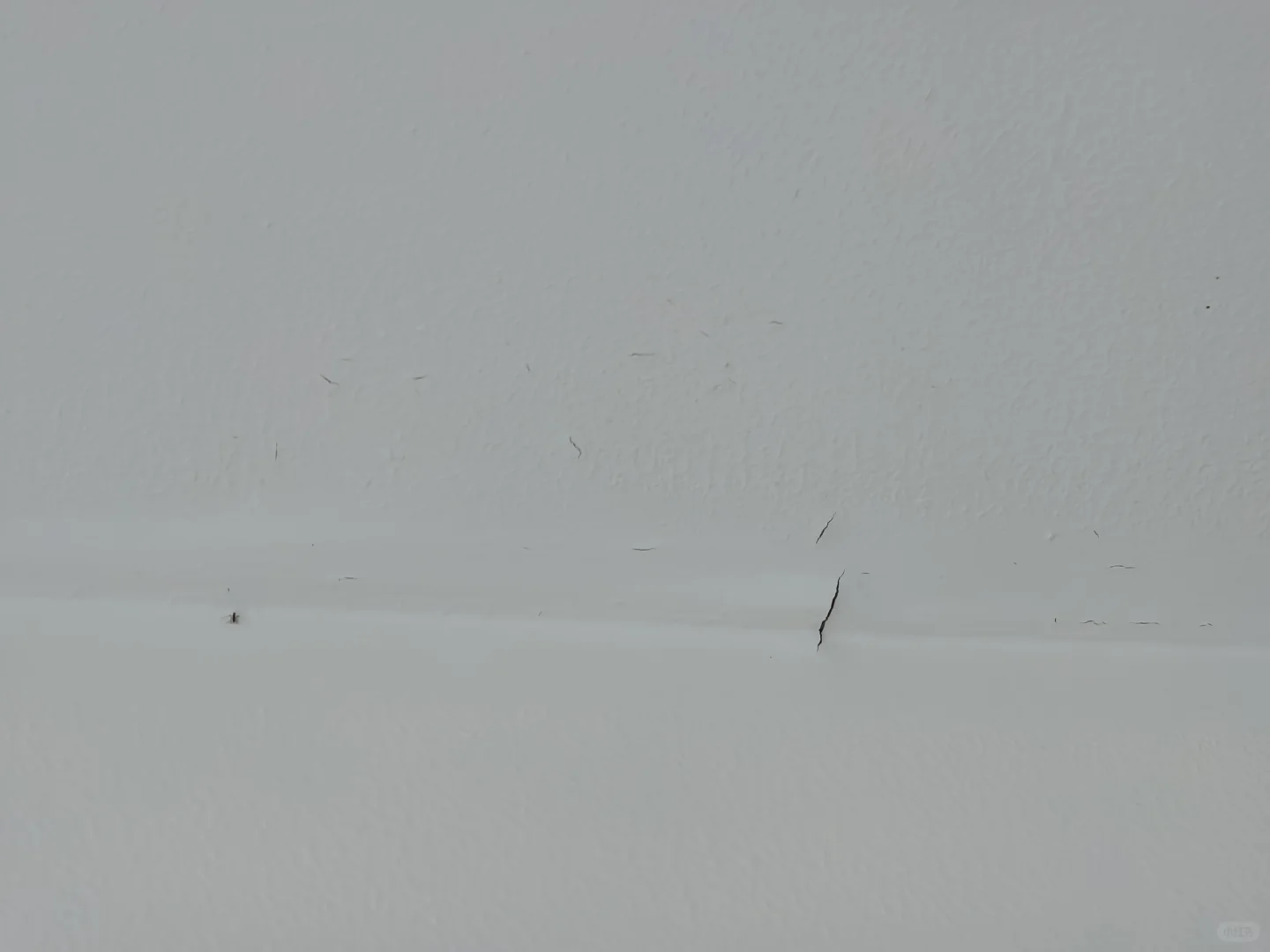 网上说乳胶漆不兑水有质感，但不会告诉你..