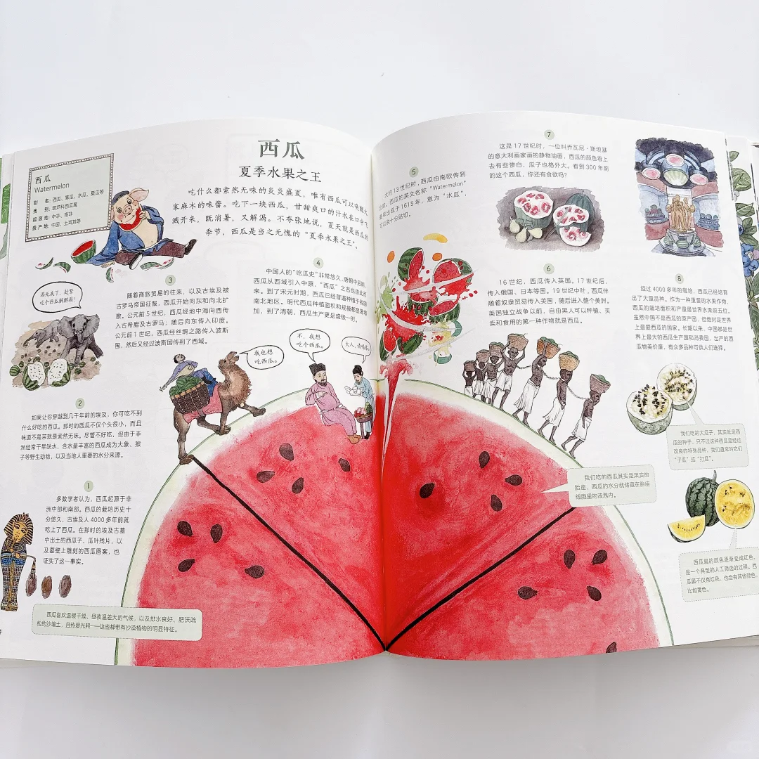 太好看了‼️每天和女儿抢着看这本科普书