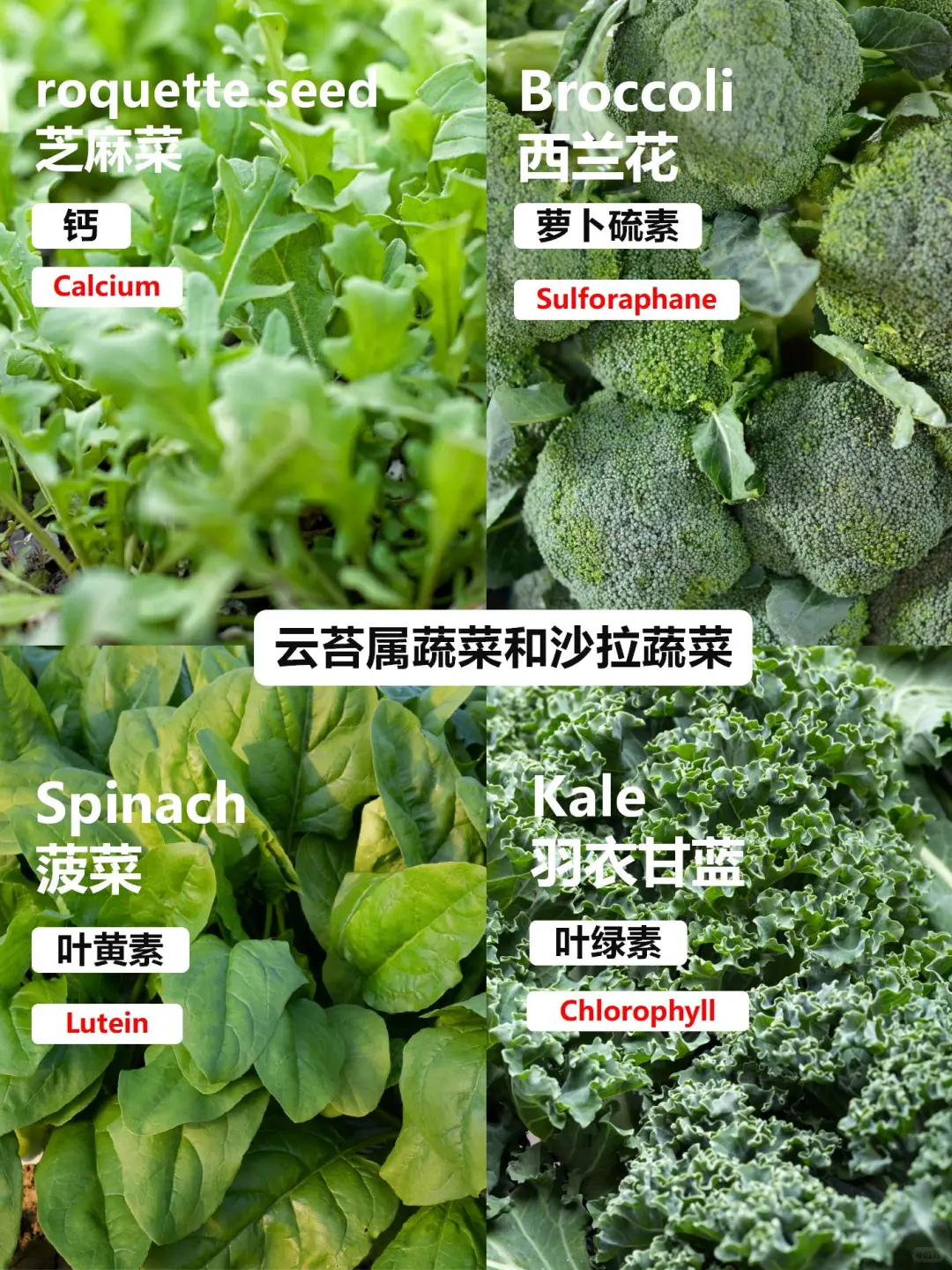 哈佛大学推荐的9大类超级食物！