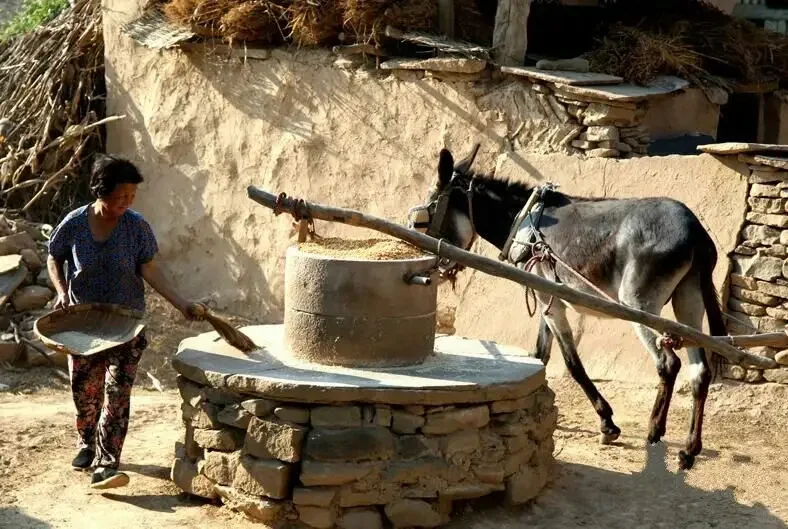 八十年代一童年记忆