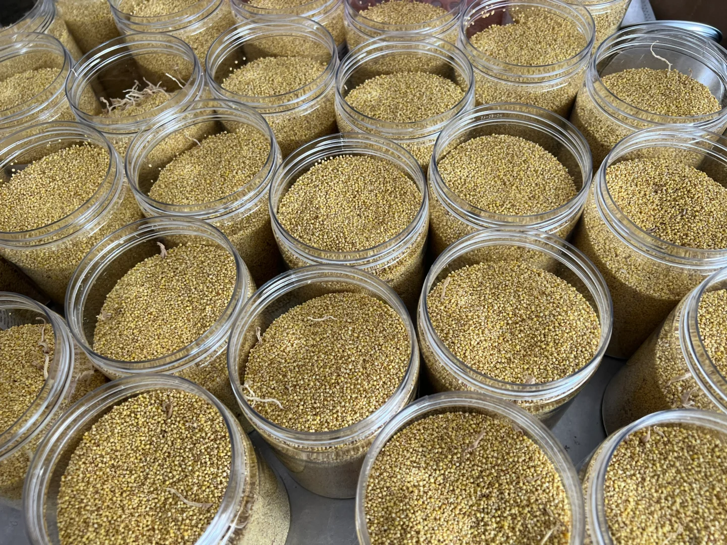 回到农村,开一家养生坊,这里只有当天做的。