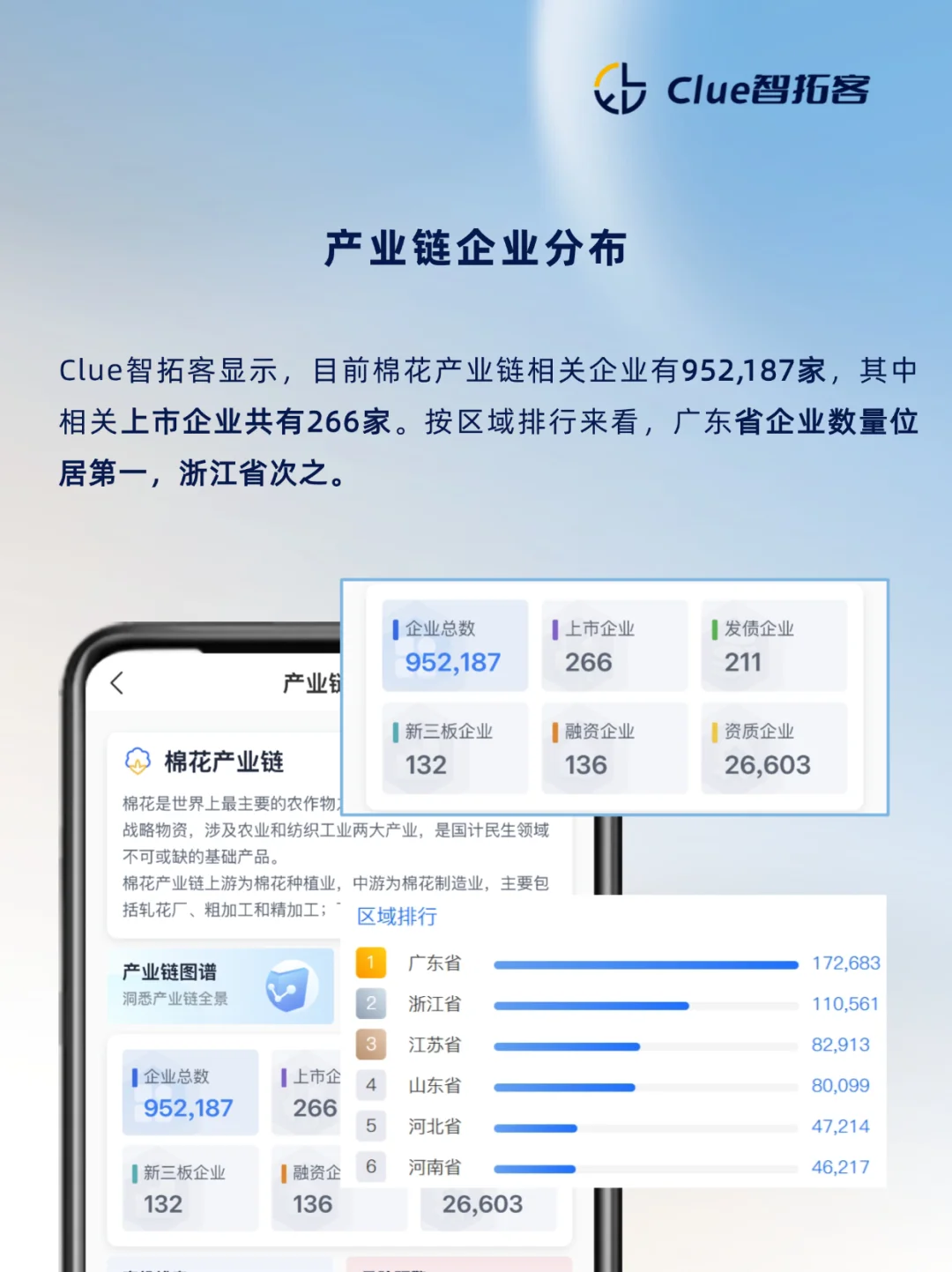 一天吃透一条产业链：棉花