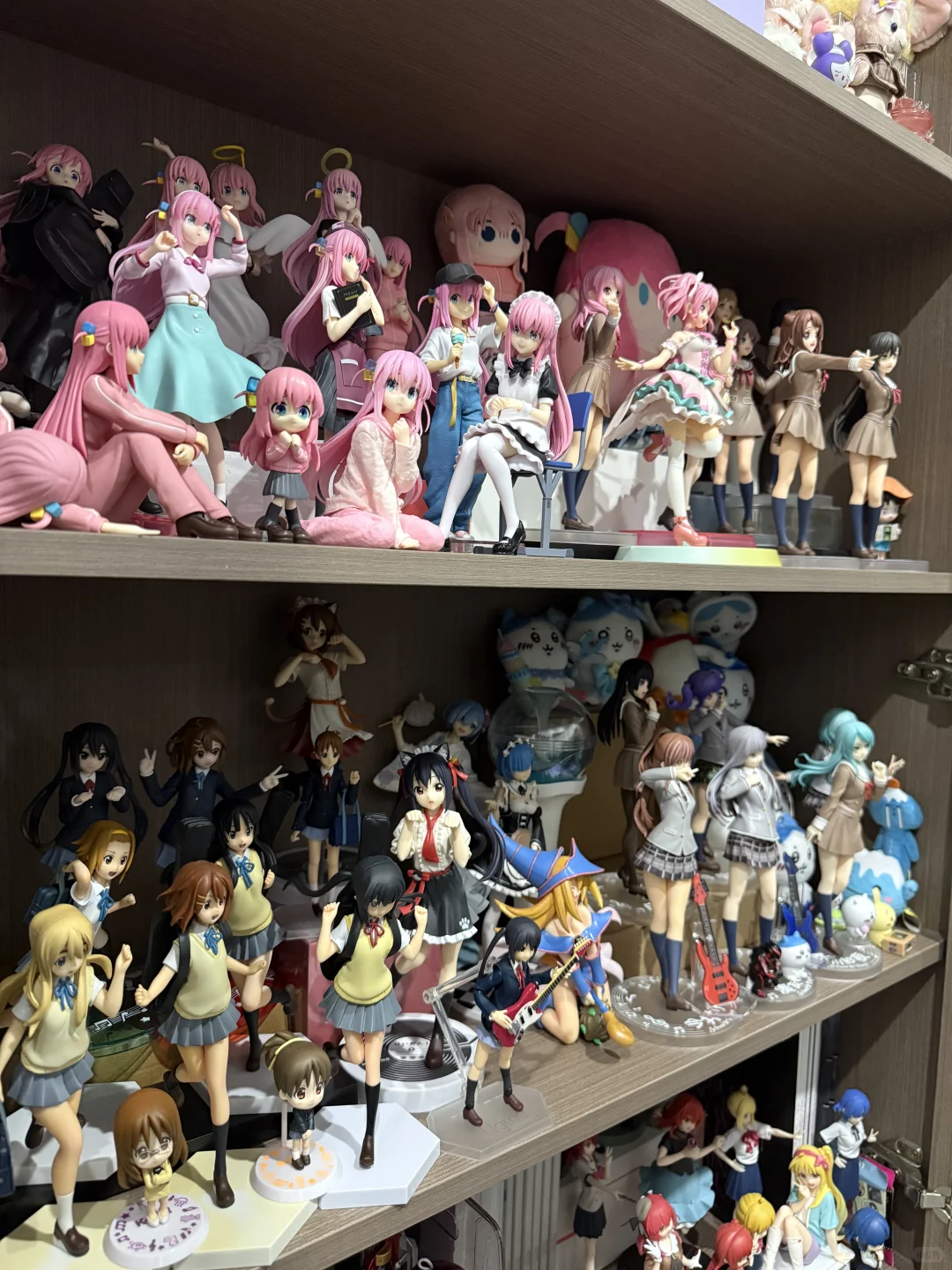 痛柜！每天光是看着就很幸福了