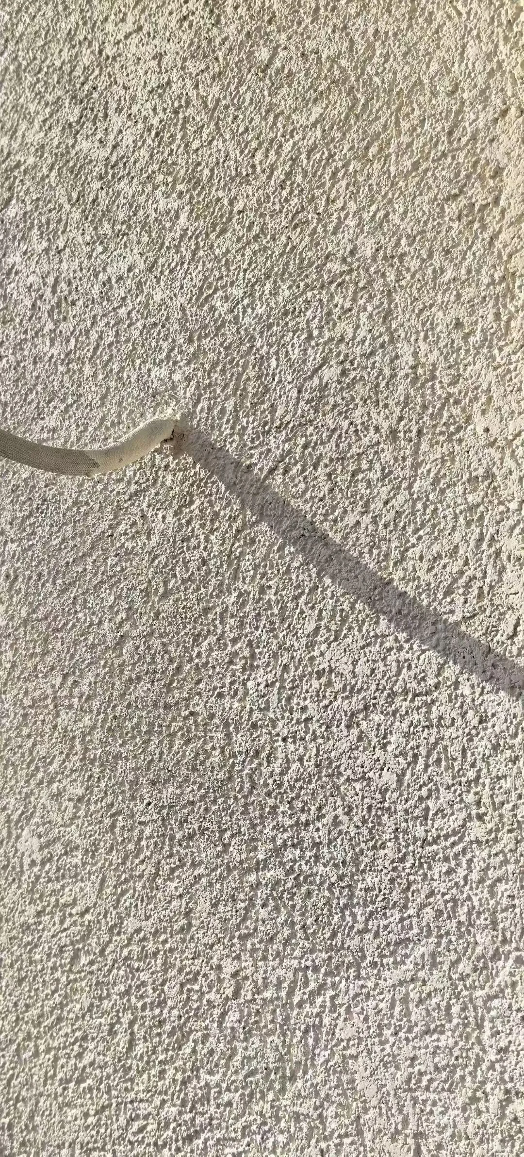 灰泥·外墙实拍，效果YYDS