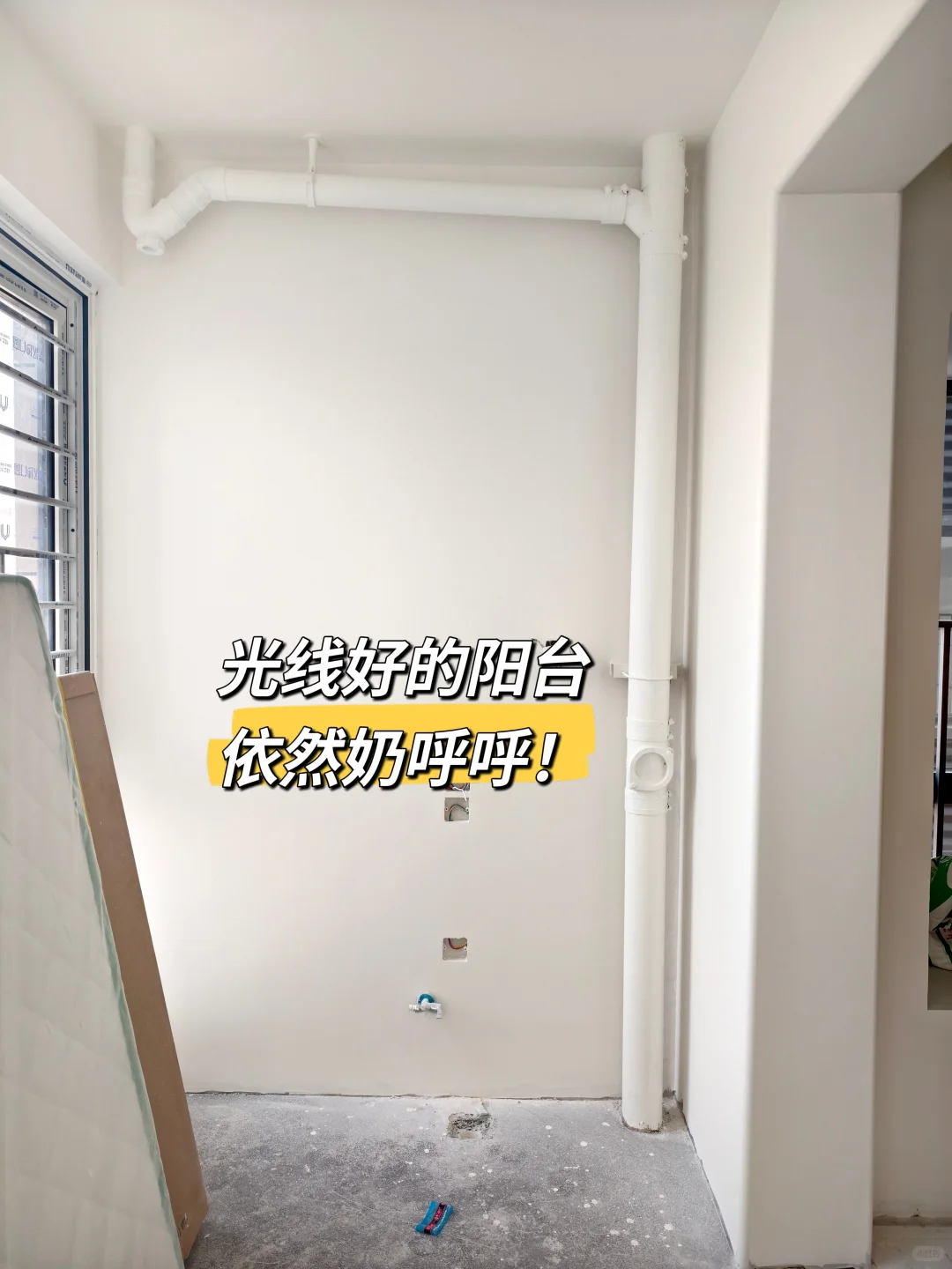 珍珠白太绝了，都去冲！！