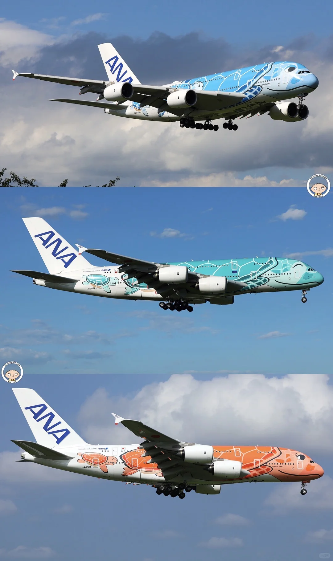 A380首飞二十周年