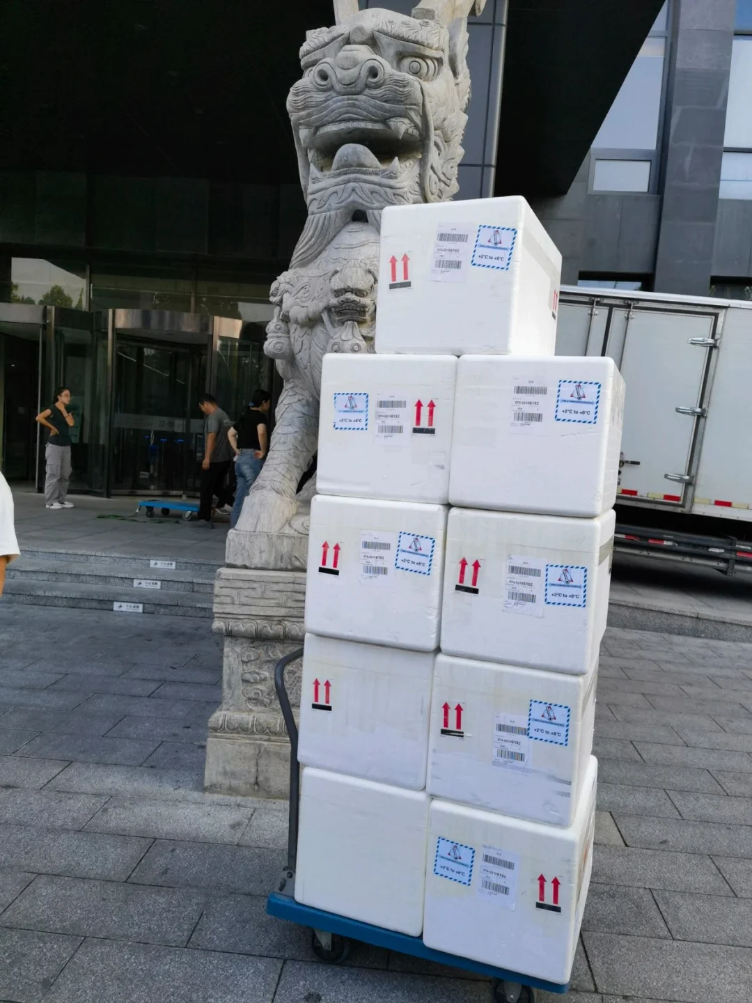 北京国内航空货运，深耕首都机场货运15年