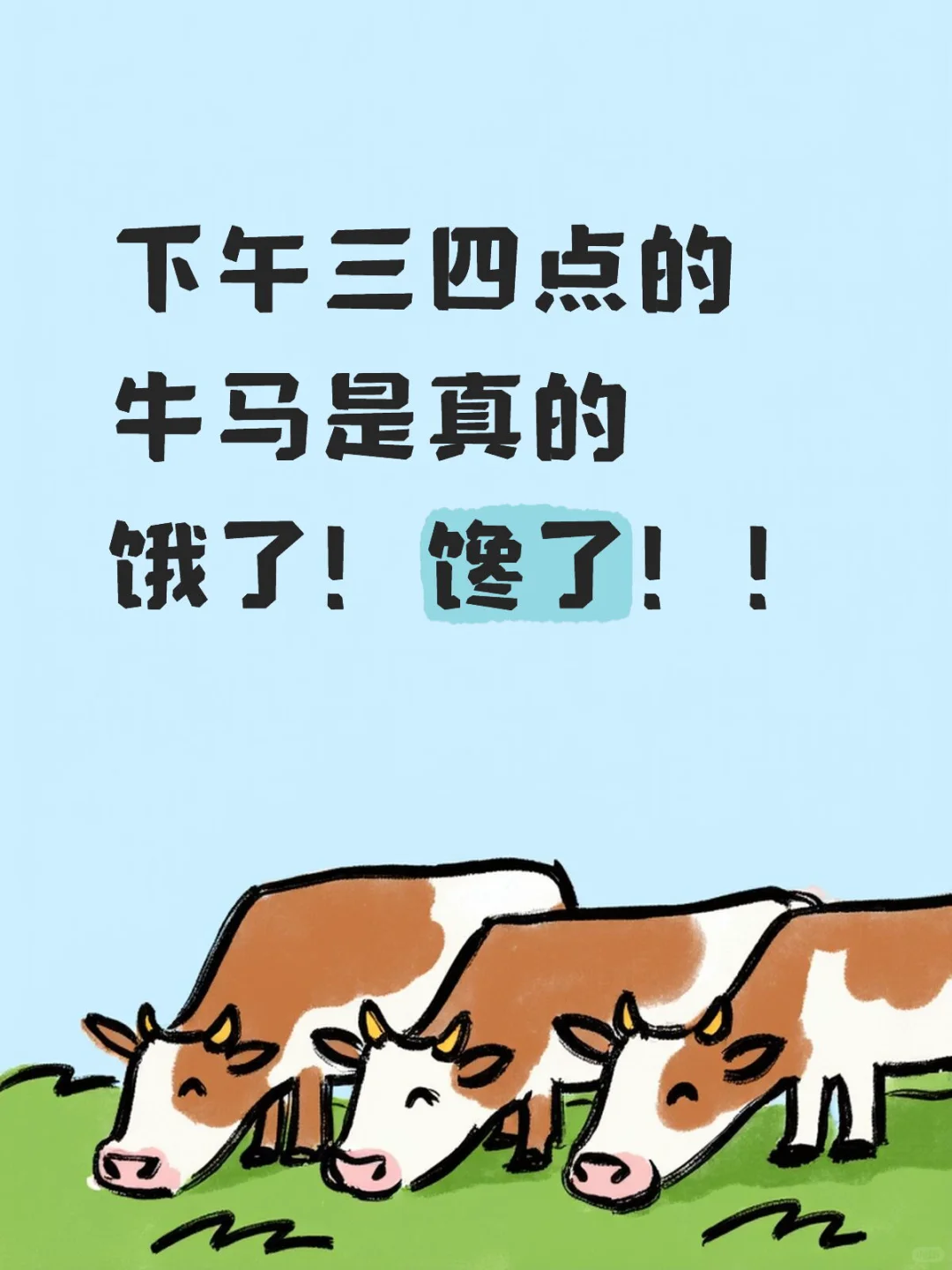 急需！办公室小零食！