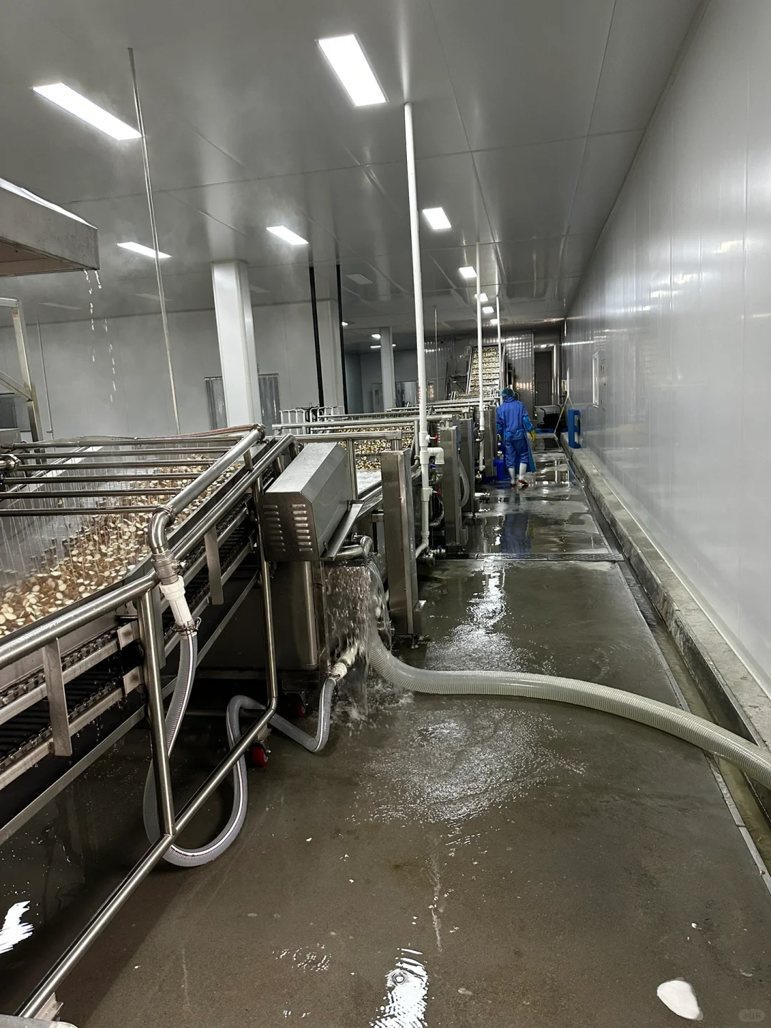 速冻蔬菜加工厂