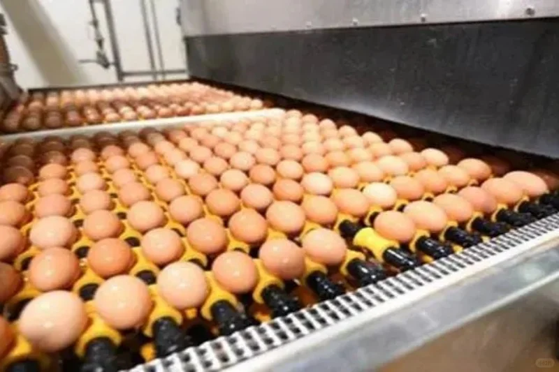 在农村就做这种加工厂,稳妥做老板!