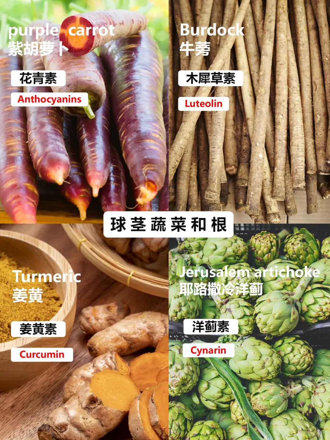 哈佛大学推荐的9大类超级食物！